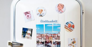 assorted-type photos stick on white single-door refrigerator