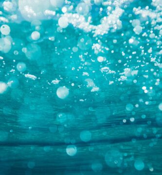 underwater photography of water bubbles