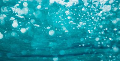underwater photography of water bubbles